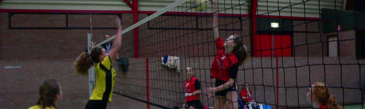 sport - Volleybalvereniging Nijeveen